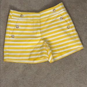 Ann Taylor Loft - the riviera short